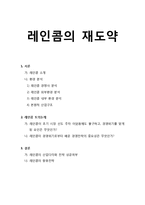 레인콤 경영전략-1