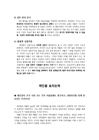 레인콤 경영전략-3