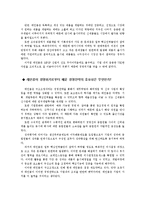 레인콤 경영전략-4