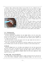 카페베네 경영전략 분석-15