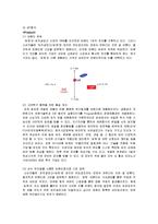 중소기업의 마케팅 성공 사례-위니아 만도 딤채-11