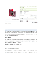 인도 화장품 산업 진출 전략-10