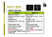커피(식생활과문화특론, 커피의발견, 커피역사, 커피의분류, 커피문화, 상식, 보관법, 바리스타) PPT, 파워포인트 발표-7