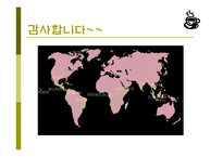 커피(식생활과문화특론, 커피의발견, 커피역사, 커피의분류, 커피문화, 상식, 보관법, 바리스타) PPT, 파워포인트 발표-19