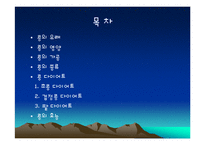 콩에대하여(식생활과문화특론, 콩의유래, 콩의영양, 콩의가공, 콩의종류, 콩다이어트, 콩의효능) PPT, 파워포인트 발표-2