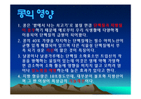 콩에대하여(식생활과문화특론, 콩의유래, 콩의영양, 콩의가공, 콩의종류, 콩다이어트, 콩의효능) PPT, 파워포인트 발표-4