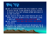 콩에대하여(식생활과문화특론, 콩의유래, 콩의영양, 콩의가공, 콩의종류, 콩다이어트, 콩의효능) PPT, 파워포인트 발표-6
