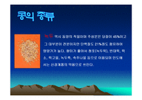 콩에대하여(식생활과문화특론, 콩의유래, 콩의영양, 콩의가공, 콩의종류, 콩다이어트, 콩의효능) PPT, 파워포인트 발표-8