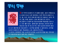 콩에대하여(식생활과문화특론, 콩의유래, 콩의영양, 콩의가공, 콩의종류, 콩다이어트, 콩의효능) PPT, 파워포인트 발표-9