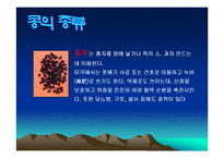 콩에대하여(식생활과문화특론, 콩의유래, 콩의영양, 콩의가공, 콩의종류, 콩다이어트, 콩의효능) PPT, 파워포인트 발표-10