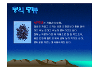 콩에대하여(식생활과문화특론, 콩의유래, 콩의영양, 콩의가공, 콩의종류, 콩다이어트, 콩의효능) PPT, 파워포인트 발표-12