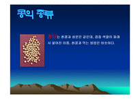 콩에대하여(식생활과문화특론, 콩의유래, 콩의영양, 콩의가공, 콩의종류, 콩다이어트, 콩의효능) PPT, 파워포인트 발표-15