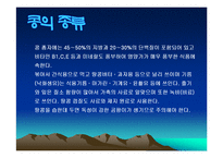 콩에대하여(식생활과문화특론, 콩의유래, 콩의영양, 콩의가공, 콩의종류, 콩다이어트, 콩의효능) PPT, 파워포인트 발표-18