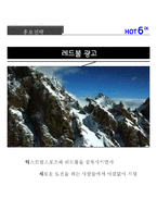 핫식스와 레드불의 swot,4p 분석 및 홍보전략-13