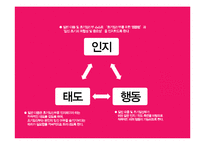 초기임산부 배려에 대한 인식제고-PR기획 조사,설계-19