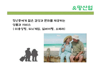 여행과 레저를 즐기는 장년층(Passionate Senior) 현황과 마케팅 사례-5