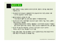 화훼산업의 유통구조 문제점과 해결방안-3