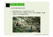 화훼산업의 유통구조 문제점과 해결방안-10