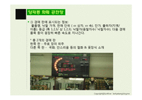 화훼산업의 유통구조 문제점과 해결방안-12