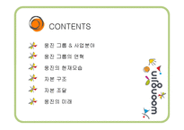 웅진그룹의 자본조달과 자본구조-2