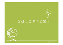 웅진그룹의 자본조달과 자본구조-3