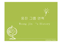 웅진그룹의 자본조달과 자본구조-10