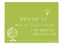 웅진그룹의 자본조달과 자본구조-14