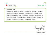 웅진그룹의 자본조달과 자본구조-18