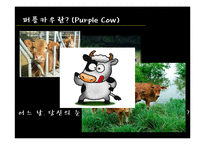 퍼플카우의 사례와 시사점-4