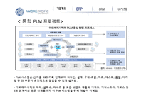 아모레퍼시픽 경영정보 시스템-10