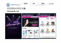 아모레퍼시픽 경영정보 시스템-17