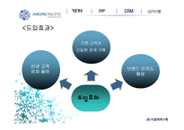아모레퍼시픽 경영정보 시스템-19