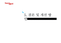 서울랜드의 문제점과 개선방안-20
