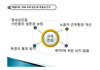 대형마트, SSM 규제 사례로 본 시장경제에서 정부의 역할-10