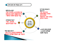대형마트, SSM 규제 사례로 본 시장경제에서 정부의 역할-17