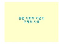 외국의 사회적 기업 사례-19