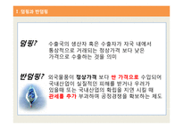 국제통상-반덤핑 관세에 대하여-4