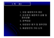 유로존 재정위기의 과정 및 전망-2