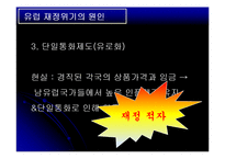 유로존 재정위기의 과정 및 전망-9
