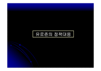 유로존 재정위기의 과정 및 전망-18