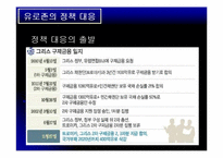 유로존 재정위기의 과정 및 전망-19