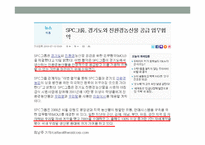 SPC-파리바게트의 판촉전략-10