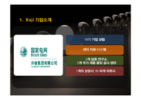 Xuji 기업 ERP 도입 사례 연구-4
