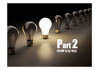 Xuji 기업 ERP 도입 사례 연구-7