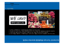 진정성, 로가닉 마케팅 사례 연구-15