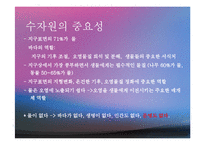 수자원(환경수리학, 수자원의중요성, 수자원감소, 수자원분포, 물의이용, 물부족대비, 대체수원개발) PPT, 파워포인트-3