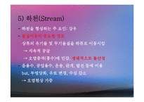 수자원(환경수리학, 수자원의중요성, 수자원감소, 수자원분포, 물의이용, 물부족대비, 대체수원개발) PPT, 파워포인트-17