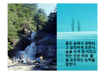수질오염(하천오염, 용존산소, 부영양화, 해양오염, 유류오염, 지하수오염, 수질오염방지) PPT, 파워포인트-5