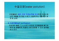 수질오염(하천오염, 용존산소, 부영양화, 해양오염, 유류오염, 지하수오염, 수질오염방지) PPT, 파워포인트-6