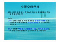 수질오염(하천오염, 용존산소, 부영양화, 해양오염, 유류오염, 지하수오염, 수질오염방지) PPT, 파워포인트-7